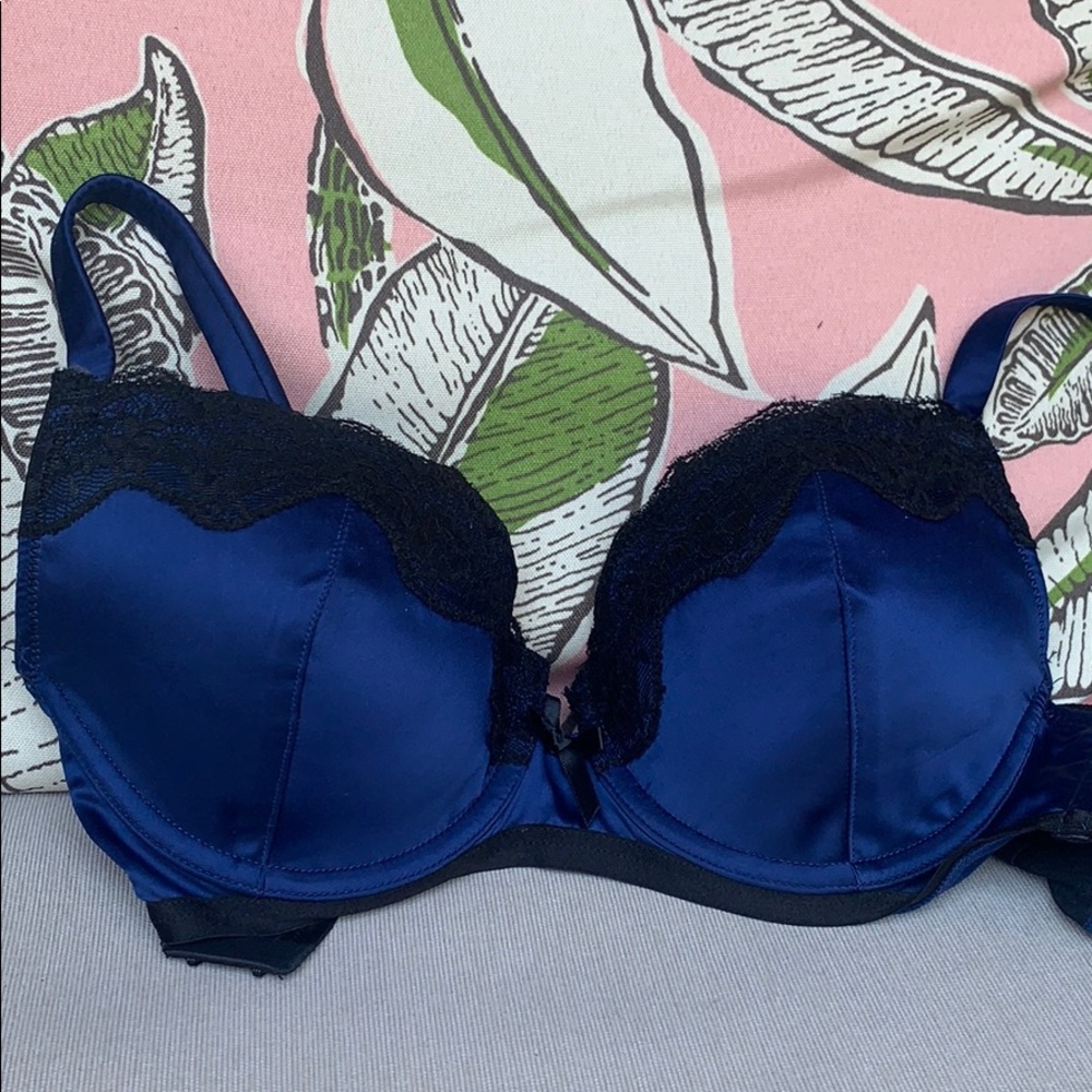 NWOT Blush silk bra
